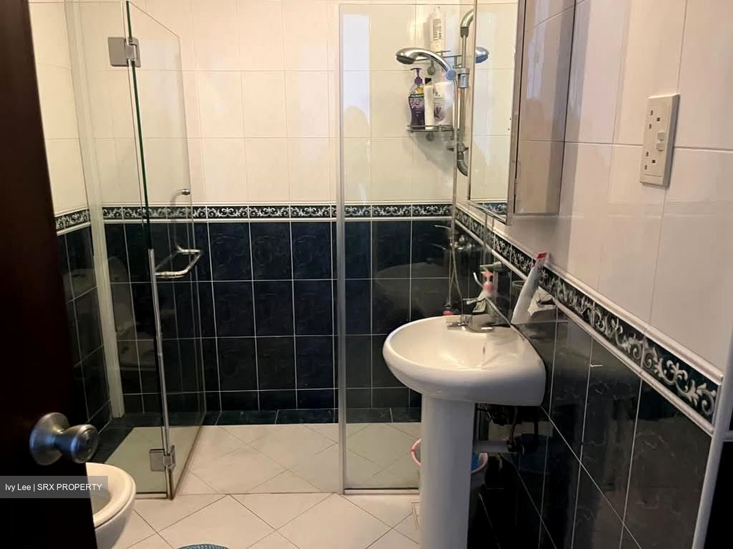 Cairnhill Plaza (D9), Apartment #572242191